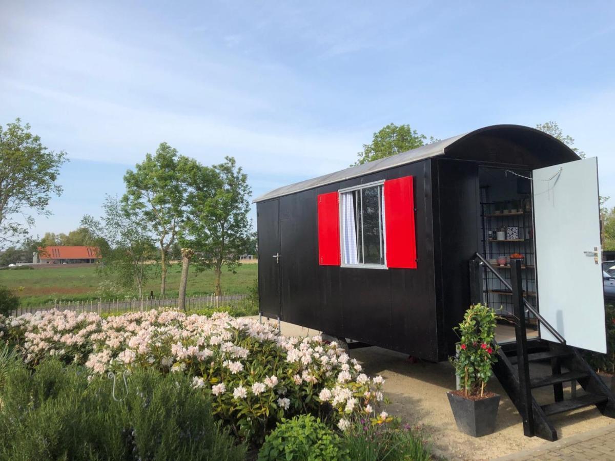 Chalet Royal Broek Exterior foto